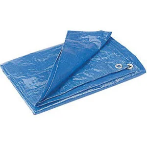 Blue Poly Tarp 12' X 16'