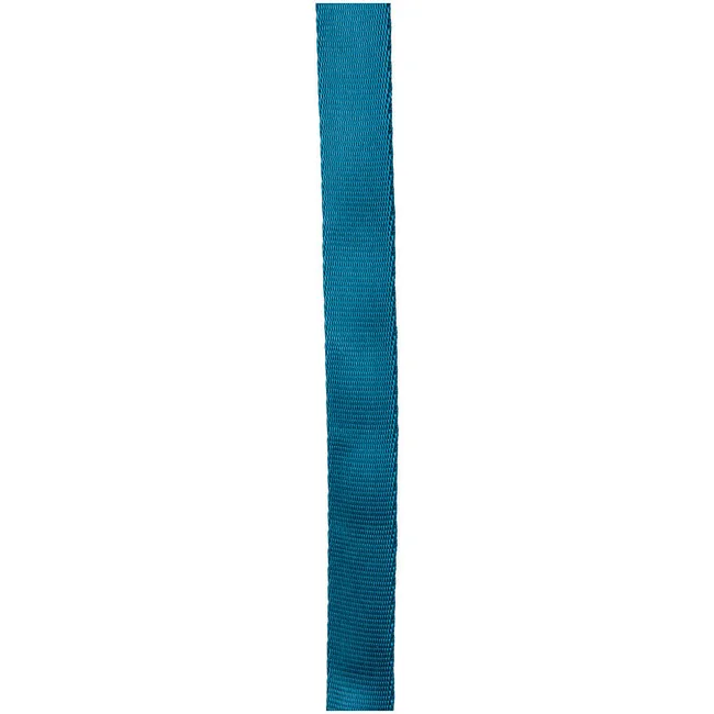 11/16"X300' Teal Tube Webbing